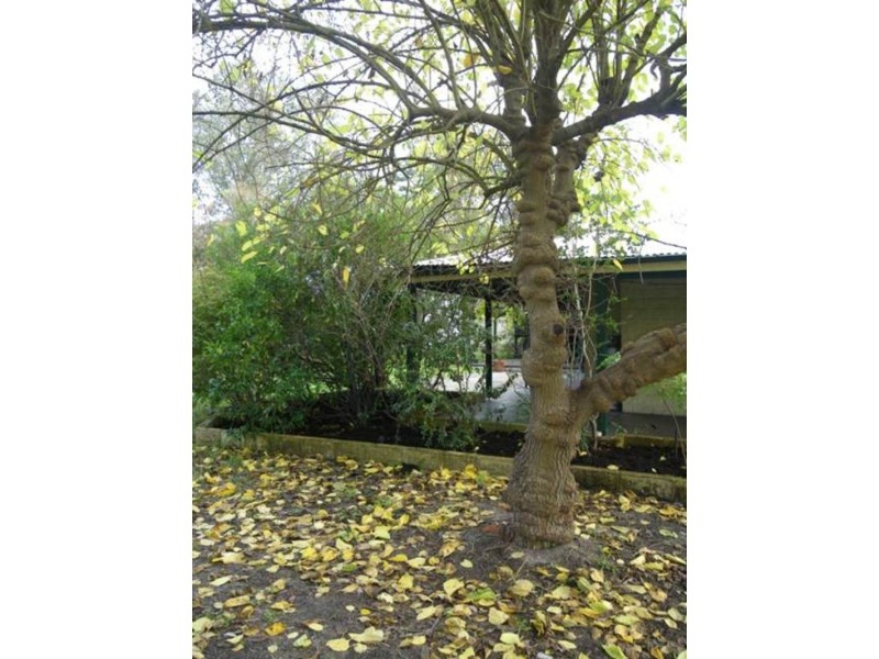 240 De Haer Road, Wandi WA 6167