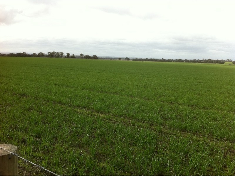 350 staughton vale rd, Staughton Vale VIC 3221