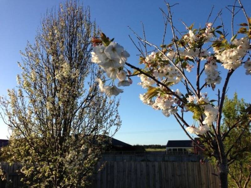 12 Kielli Drive, Warrnambool VIC 3280