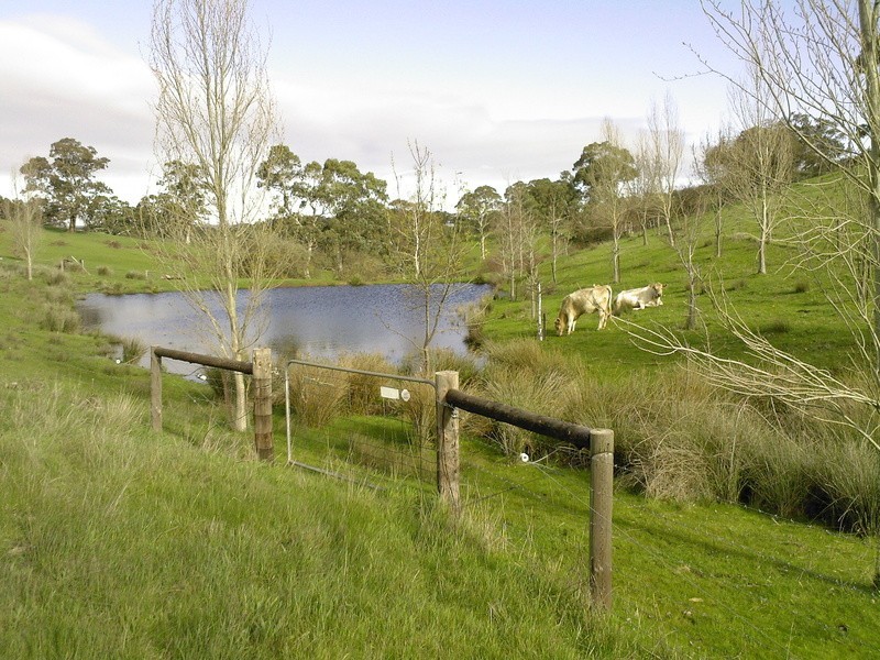 54 Marshall Road, Chandlers Hill SA 5159
