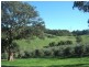 54 Marshall Road, Chandlers Hill SA 5159