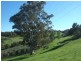 54 Marshall Road, Chandlers Hill SA 5159