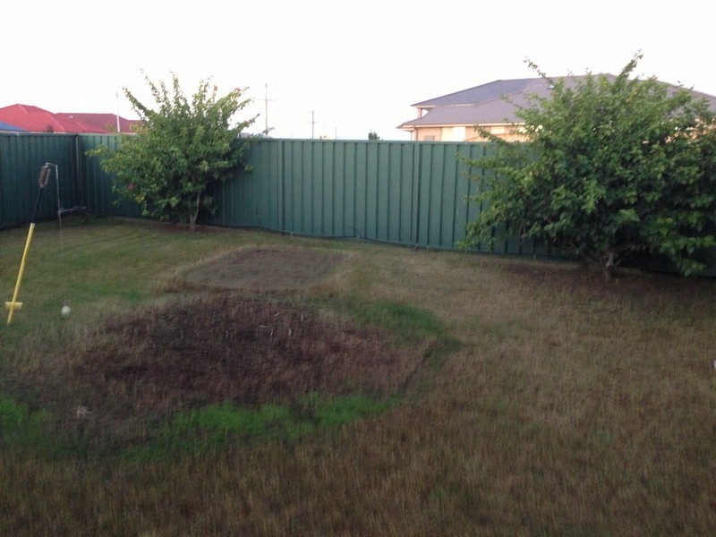 East Branxton NSW 2335