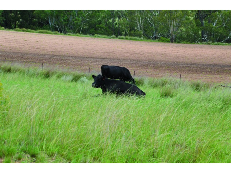 1862 Namoi River Road, Manilla NSW 2346