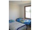 56 Scott Street, The Rock NSW 2655