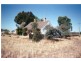 50 Stephens Street, Urana NSW 2645