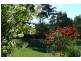 70 Rosedale Road, Bicheno TAS 7215
