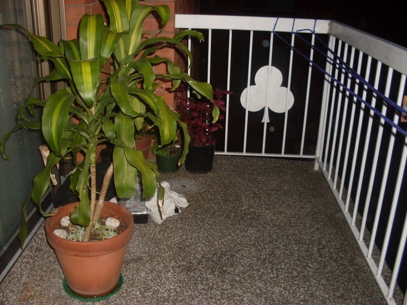 17/32  luxford road, Mount Druitt NSW 2770