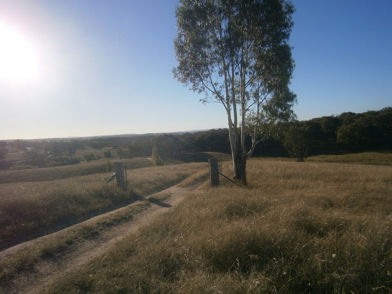 1850 O’connell road, O’connell NSW 2795