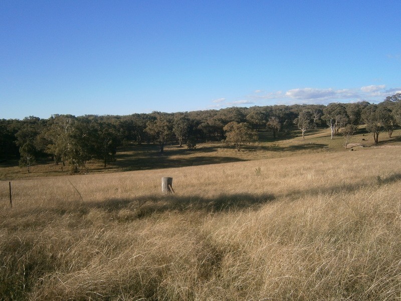 1850 O’connell road, O’connell NSW 2795