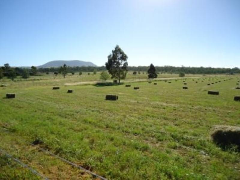 Lot 1/282 Wiedmans Road, Swan Creek QLD 4370