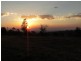 Lot 47 Sutherland Drive, Taromeo QLD 4306