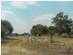 Lot 47 Sutherland Drive, Taromeo QLD 4306