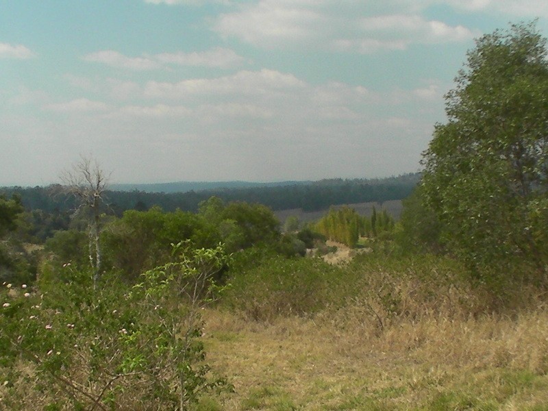 Lot 47 Sutherland Drive, Taromeo QLD 4306