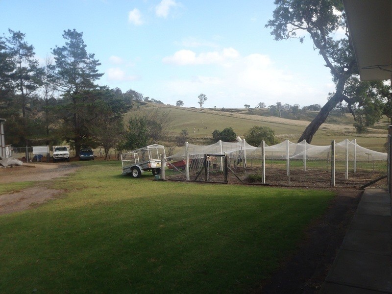 21 Old Soldiers Lane, Wolumla NSW 2550