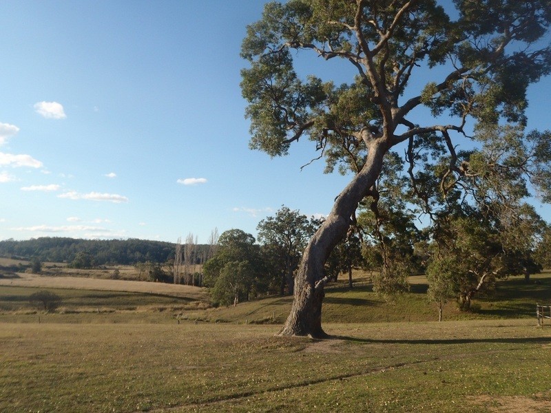 21 Old Soldiers Lane, Wolumla NSW 2550