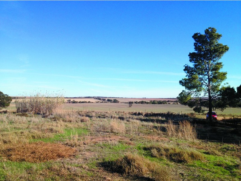 424 Rosenzweig Road, Frayville SA 5238