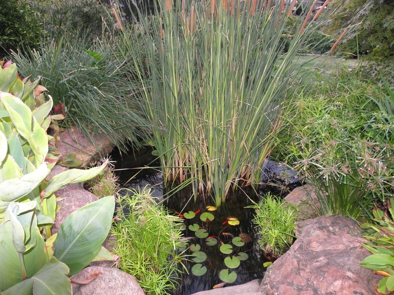 28 Highfield Drive, Aberfoyle Park SA 5159