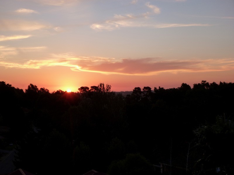 28 Highfield Drive, Aberfoyle Park SA 5159