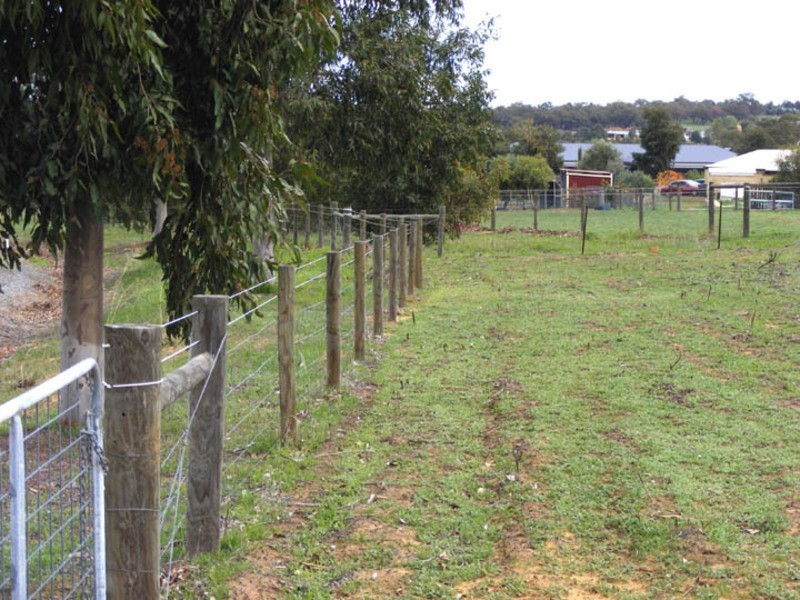 332 Maine Anjou Drive, Lower Chittering WA 6084