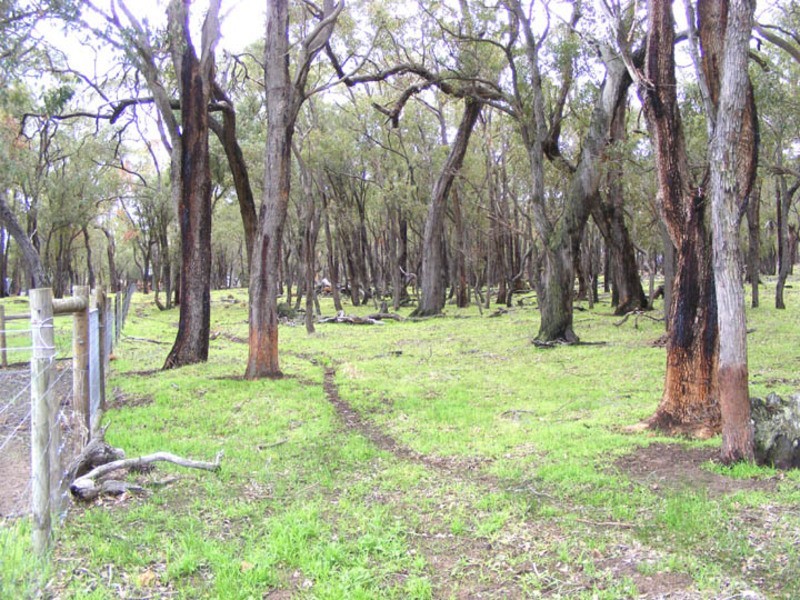 332 Maine Anjou Drive, Lower Chittering WA 6084