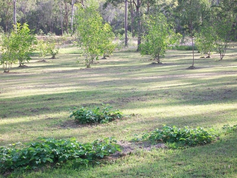 147  Faints Road, Childers QLD 4660