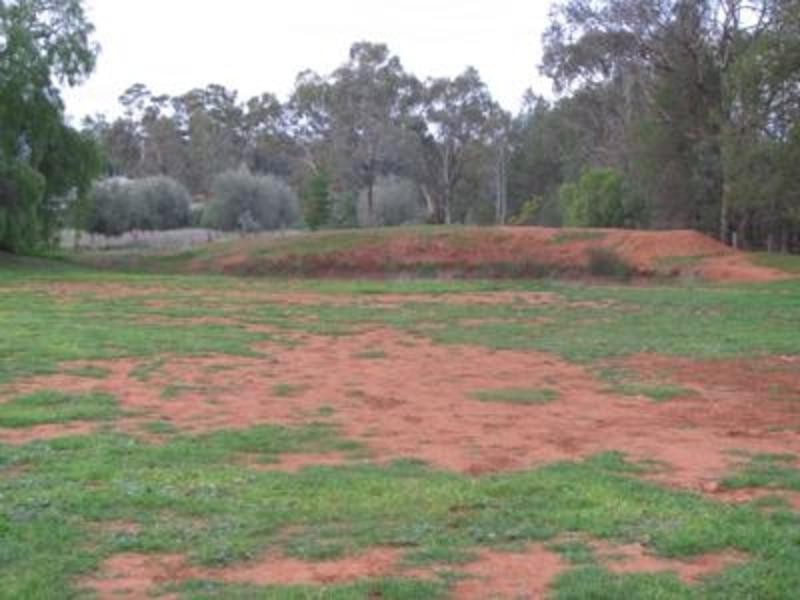 45 Rannock Road “Victoria Park”, Coolamon NSW 2701