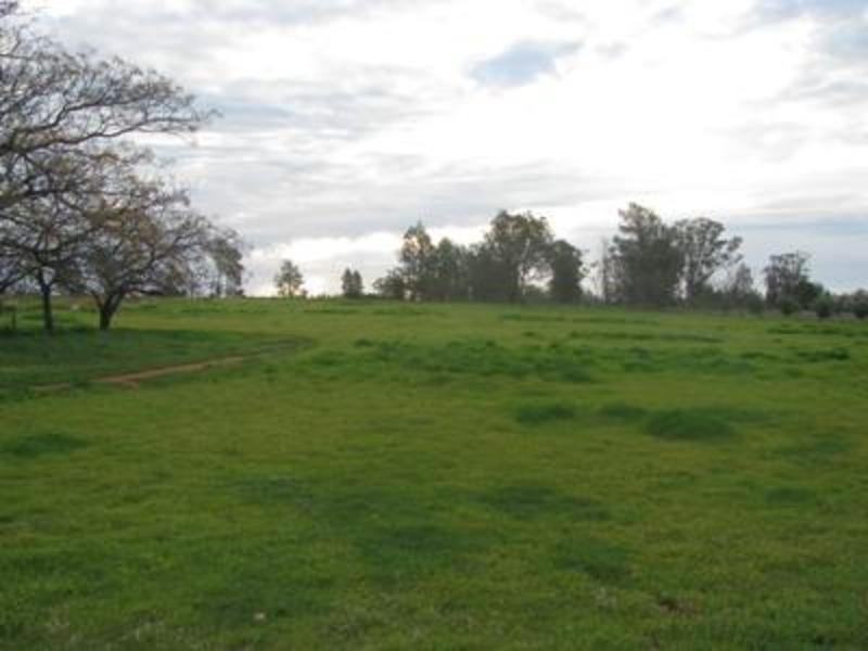 45 Rannock Road “Victoria Park”, Coolamon NSW 2701