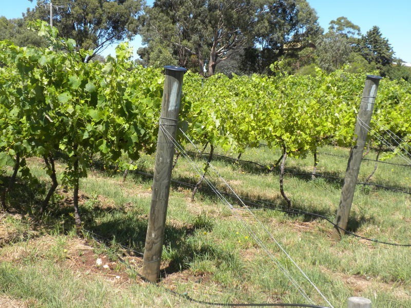 55 Gibbs Road, Majorca VIC 3465