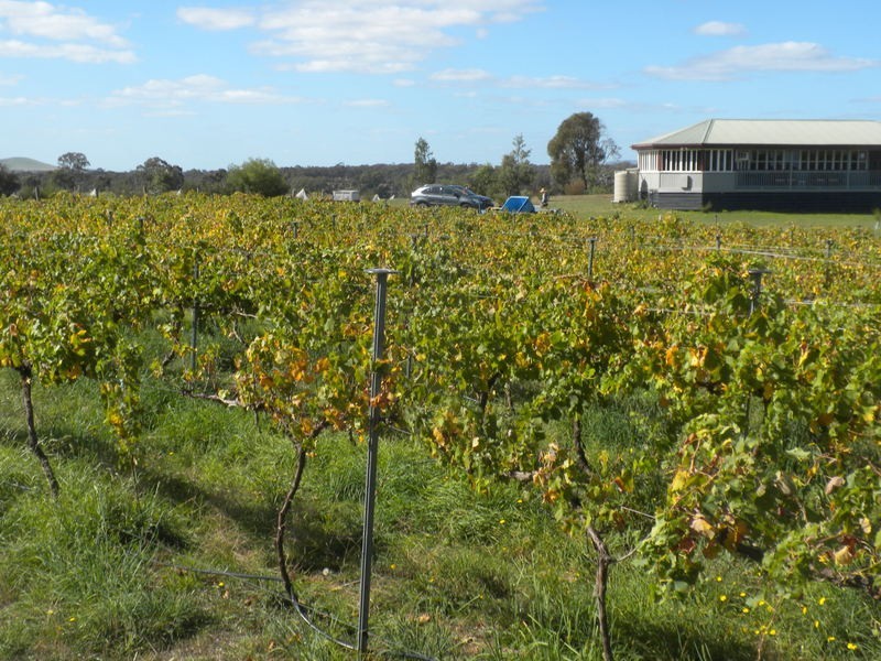 55 Gibbs Road, Majorca VIC 3465