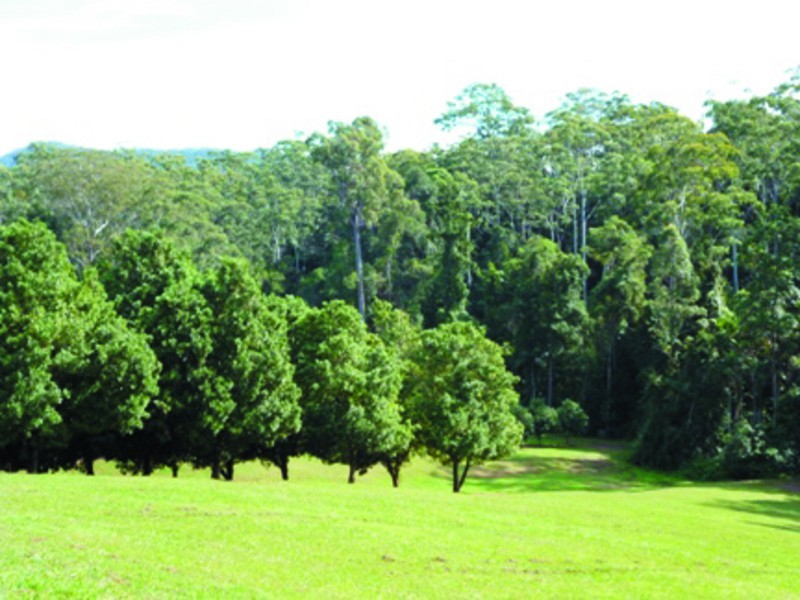 52 Broughams Road, Valla NSW 2448