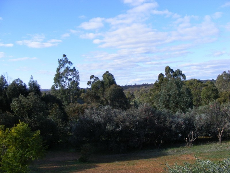 Lot 209 Leschenaultia Drive, Chittering WA 6084