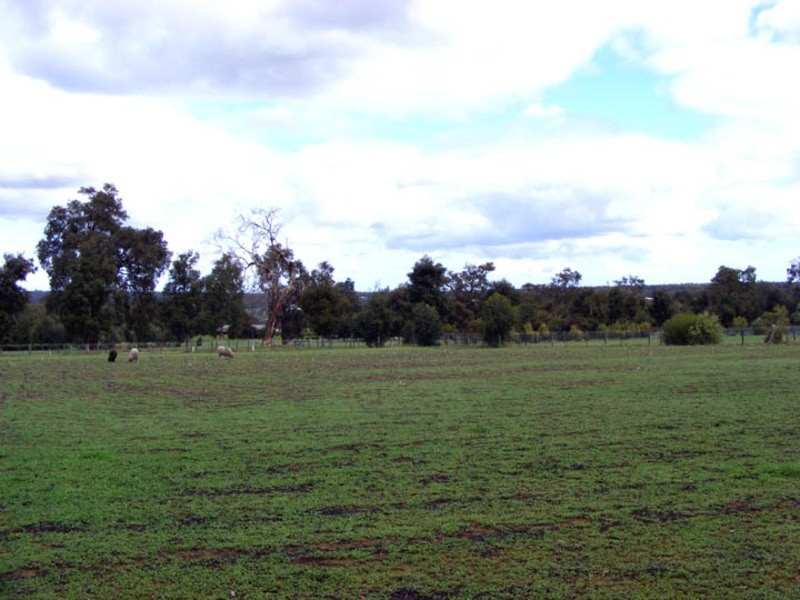 332 Maine Anjou Drive, Lower Chittering WA 6084