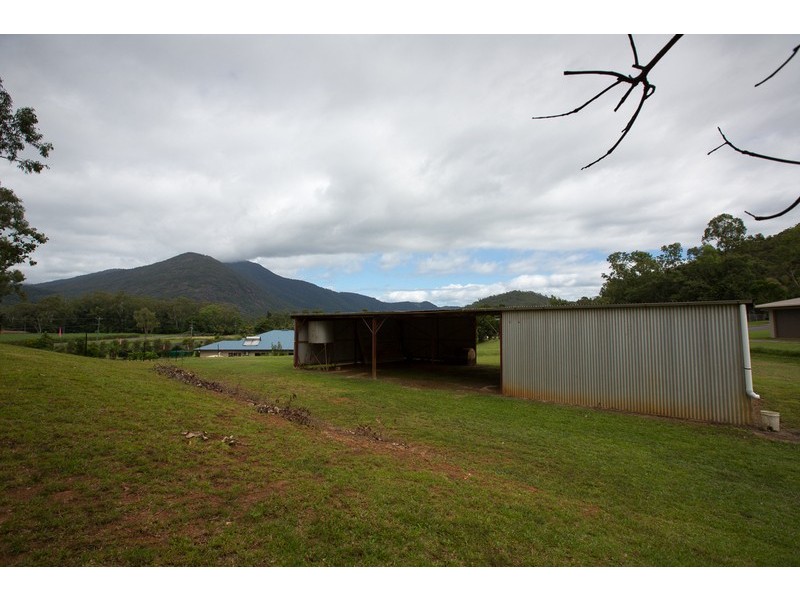 7 Pyramid Close, Gordonvale QLD 4865