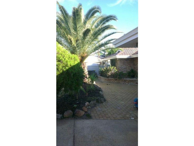 3 Jennifer Place, Alexander Heights WA 6064