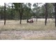 Lot 3 Back Creek Road, Karara QLD 4352
