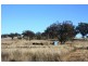 Lot 4 Mountain Maid Road, Greymare QLD 4370