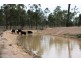 Lot 5 Back Creek Road, Karara QLD 4352