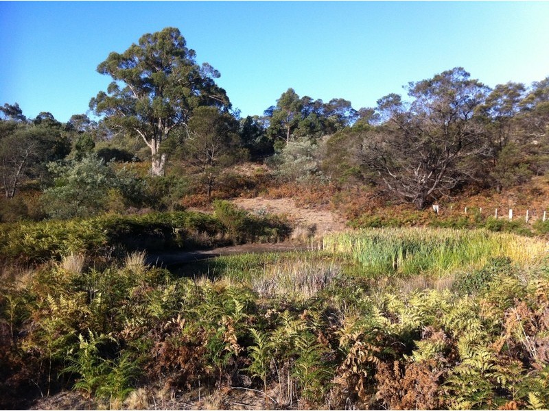 Lot 2 Heatherbell Road, Forcett TAS 7173