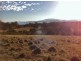 Lot 2 Heatherbell Road, Forcett TAS 7173
