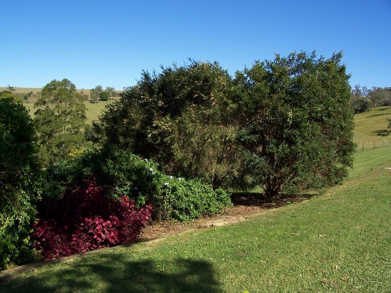 462 Omagh Road, Cedar Point NSW 2474