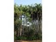 35 Ironwood Place, Girraween NT 0836