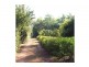35 Ironwood Place, Girraween NT 0836