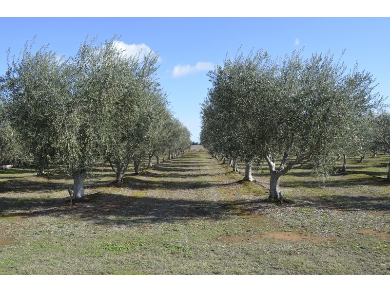 770 Lancaster Road, Gillieston VIC 3616