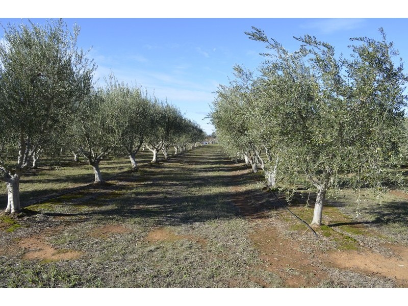 770 Lancaster Road, Gillieston VIC 3616