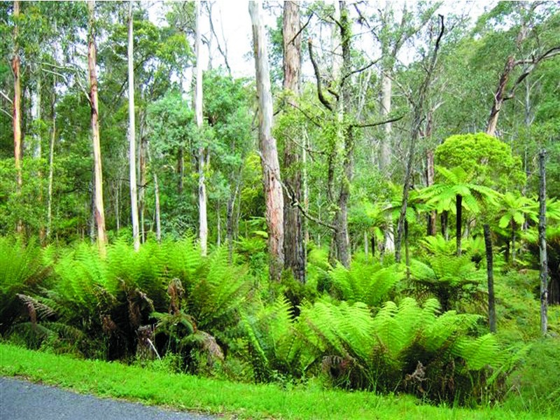 2825 Combienbar Road, Combienbar VIC 3889