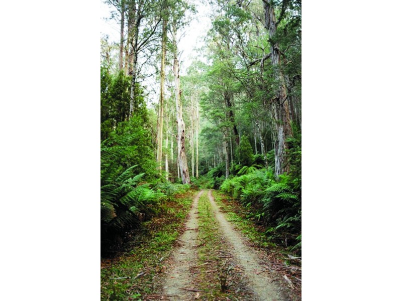 2825 Combienbar Road, Combienbar VIC 3889