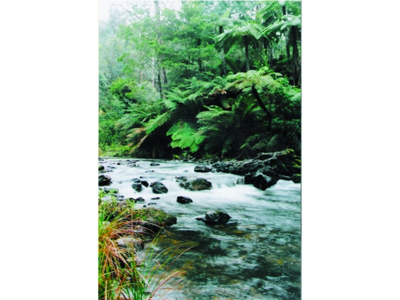 2825 Combienbar Road, Combienbar VIC 3889