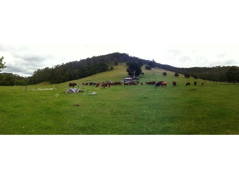 2825 Combienbar Road, Combienbar VIC 3889