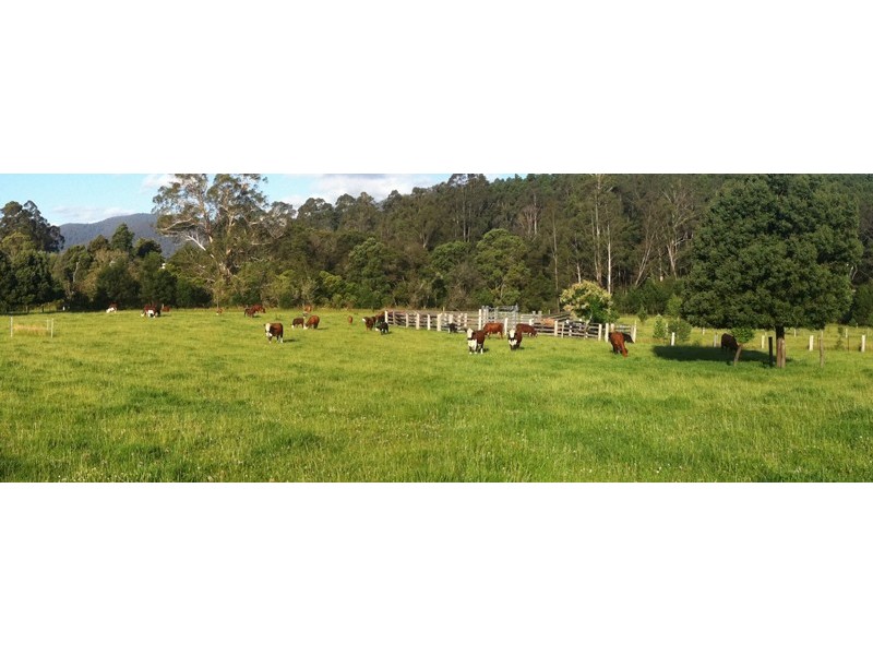 2825 Combienbar Road, Combienbar VIC 3889